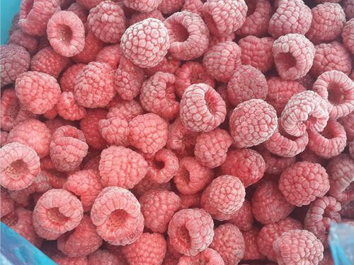 Frozen Raspberry